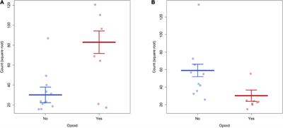 Brain structural connectome in neonates with prenatal opioid exposure